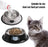 Stainless Steel Cat/Dog Bowls with Rubber Base Non-Slip Kitten/Rabbit/Puppy Dish,Pets Feeder Bowl and Water Bowl