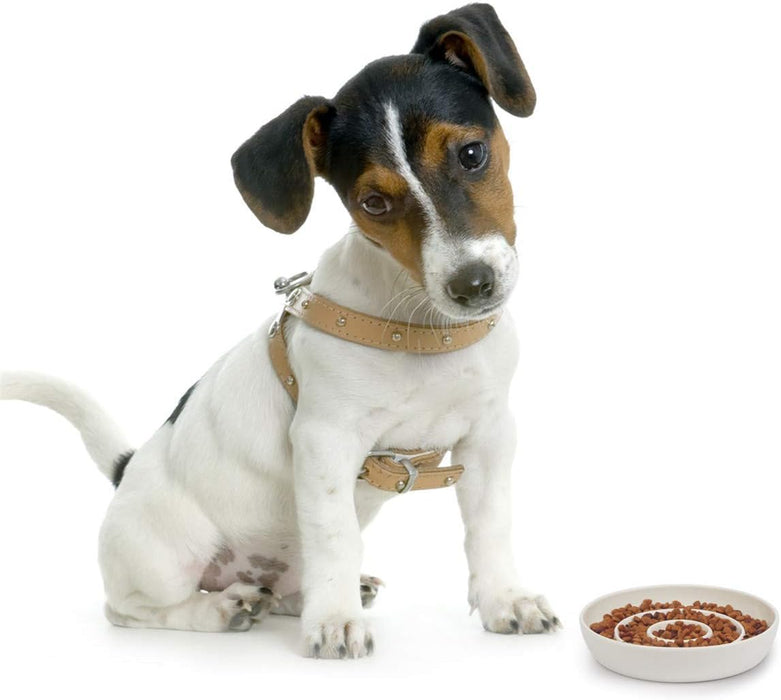 SLSON Cat Slow Feeder Bowl,Ceramic Slow Feed Cat Bowls Heavy and Shallow Wisker Stress-Free Pets Dish for Kittens Small Pets Wet Food,White