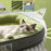 INFOSUN Dog Bed, Soft Pet Bed, Non Slip and Breathable Pet Nest, Washable Calming Pet Bed, Dog Sofa Bed for Small Medium Dogs Cats Pet(60 * 48cm, Green)