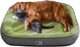 INFOSUN Dog Bed, Soft Pet Bed, Non Slip and Breathable Pet Nest, Washable Calming Pet Bed, Dog Sofa Bed for Small Medium Dogs Cats Pet(60 * 48cm, Green)