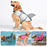 Pet Life Jacket Summer Mermaid Dog Swimming Clothes Small Dog French Bucket Golden Retriever Life Jacket