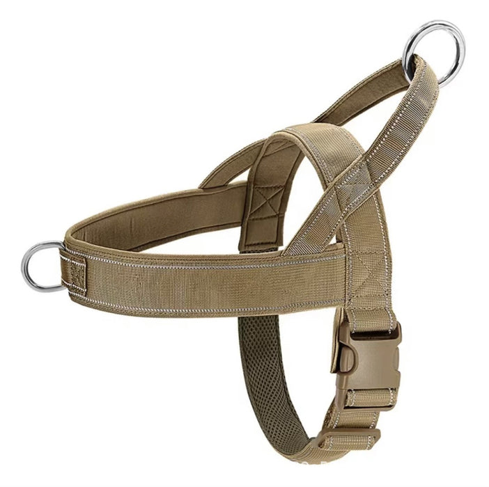 Dog Harness Leash